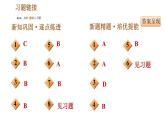 人教版七年级上册历史习题课件 第2单元 第5课 青铜器与甲骨文