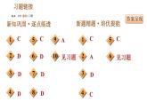 人教版七年级上册历史习题课件 第2单元 第7课 战国时期的社会变化