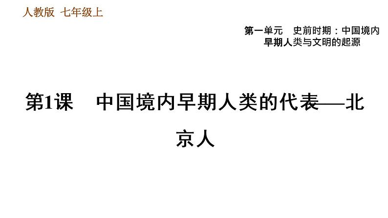 人教版七年级上册历史习题课件 第1单元 第1课　中国境内早期人类的代表——北京人01