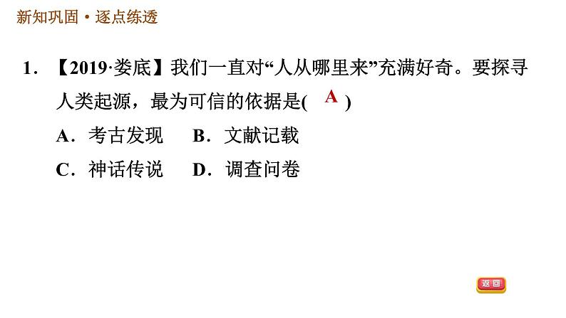 人教版七年级上册历史习题课件 第1单元 第1课　中国境内早期人类的代表——北京人04