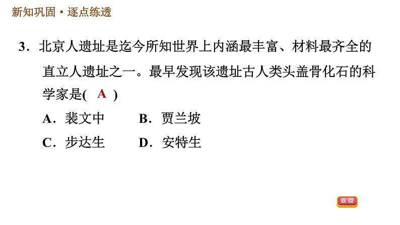 人教版七年级上册历史习题课件 第1单元 第1课　中国境内早期人类的代表——北京人06