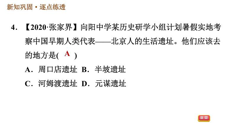 人教版七年级上册历史习题课件 第1单元 第1课　中国境内早期人类的代表——北京人07