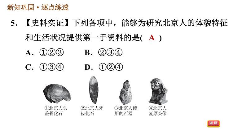 人教版七年级上册历史习题课件 第1单元 第1课　中国境内早期人类的代表——北京人08