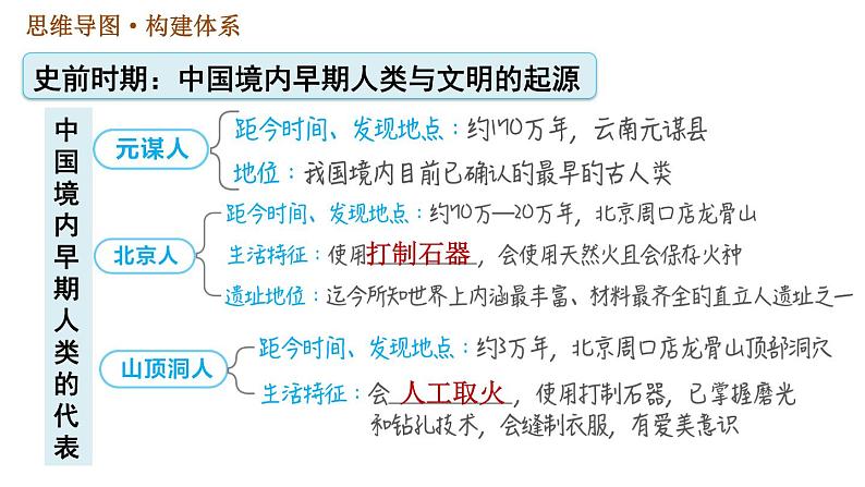 人教版七年级上册历史 第1单元习题课件02