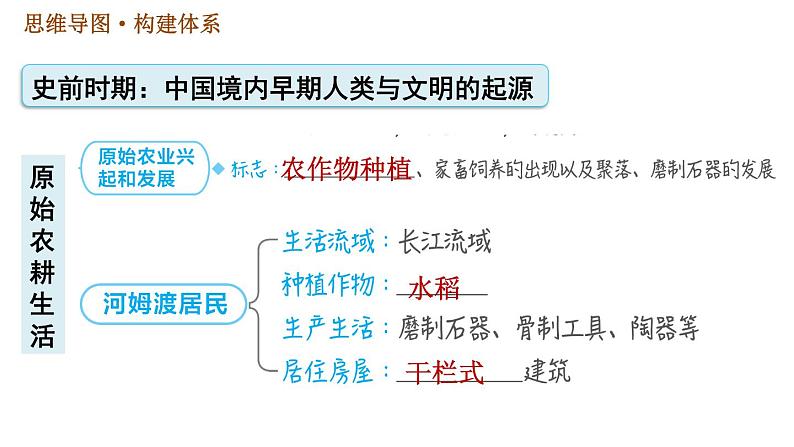 人教版七年级上册历史 第1单元习题课件03