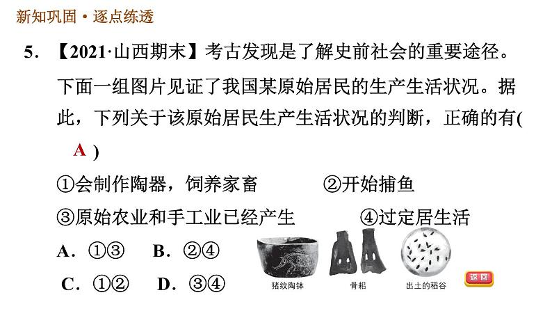 人教版七年级上册历史 第1单元习题课件08