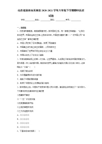 山东省滨州市无棣县2020-2021学年八年级下学期期中历史试题（word版 含答案）