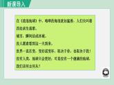 6.2 共筑生命家园课件