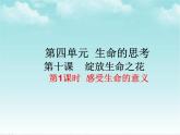 七年级上册道德与法治课件-10.1感受生命的意义-部编版
