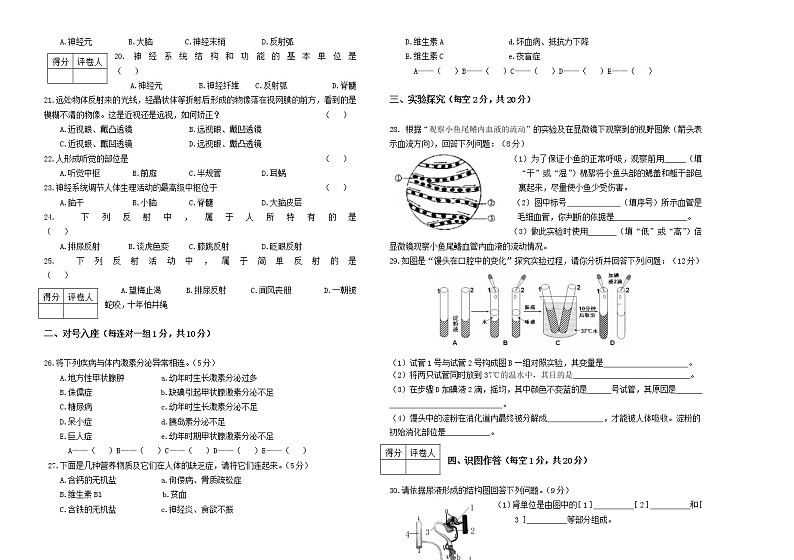 黑龙江省齐齐哈尔市克山县2020-2021学年七年级下学期期末考试生物试题（word版 含答案）第2页