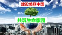 人教部编版九年级上册（道德与法治）第三单元 文明与家园第六课 建设美丽中国共筑生命家园一等奖课件ppt