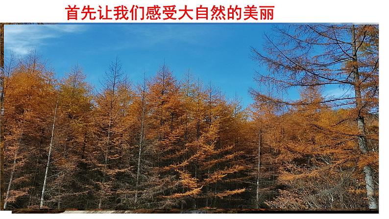 6.2 共筑生命家园 教案+课件+练习部编版道德与法治九年级上册02