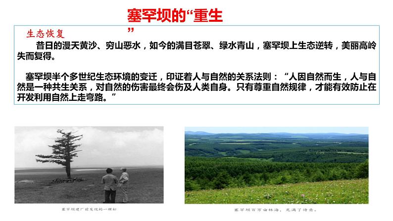 6.2 共筑生命家园 教案+课件+练习部编版道德与法治九年级上册07