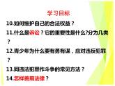 5.3 善用法律 教案+课件-部编版道德与法治八年级上册（含视频）