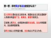 3.1 生活在新型民主国家 教案+课件+练习部编版道德与法治九年级上册（含视频，共30张PPT）