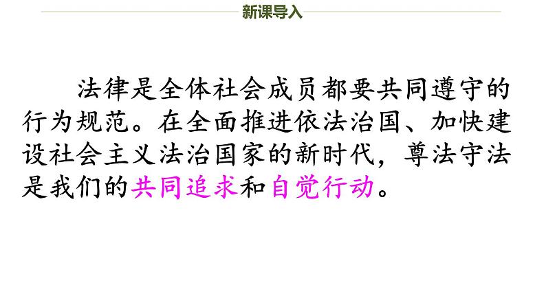 部编版八年级道德与法治第二单元第五课5.2预防犯罪  教案+课件08