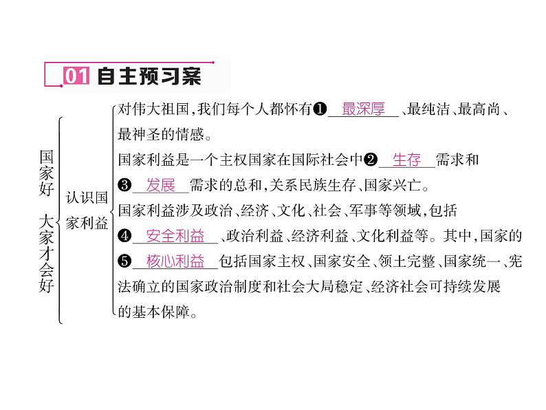 8.1 国家好 大家才会好 （共17张PPT）04