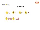 人教版八年级上册道德与法治习题课件 第2单元 第3课　社会生活离不开规则  第1课时　维护秩序