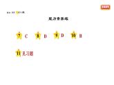 人教版八年级上册道德与法治习题课件 第2单元 第3课　社会生活离不开规则  第2课时　遵守规则