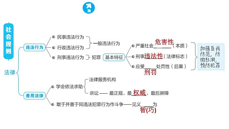 人教版八年级上册道德与法治习题课件 第2单元 复习训练06