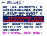 人教版道德与法治八年级上册 1.1 我与社会  课件（16张PPT）