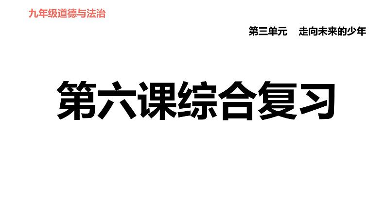 人教版（河北专版）九年级下册道德与法治课件 第3单元 第6课 综合复习第1页