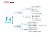 人教版九年級下冊道德與法治課件 第2單元 第4課 雙休作業(yè)四