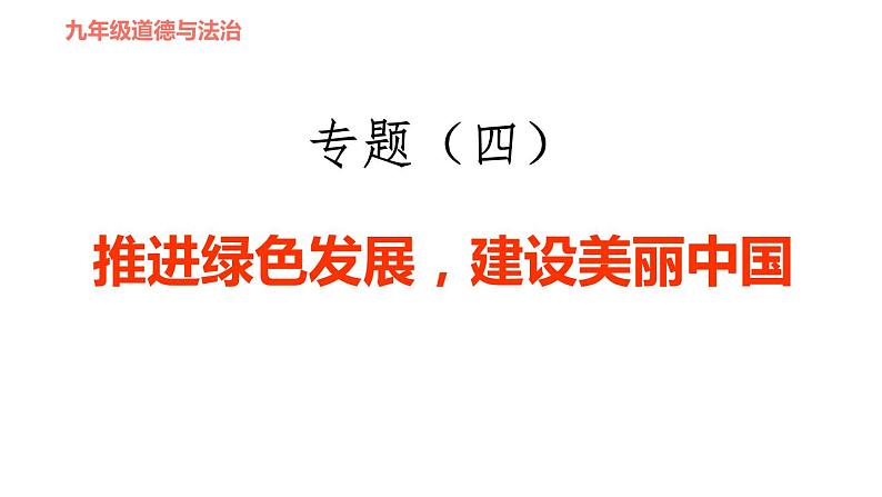 人教版九年级下册道德与法治课件 时政专题训练 4.专题（四） 推进绿色发展，建设美丽中国01