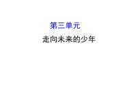 2021-2022学年部编版道德与法制中考复习之九年级下册 第三单元走向未来的少年课件PPT