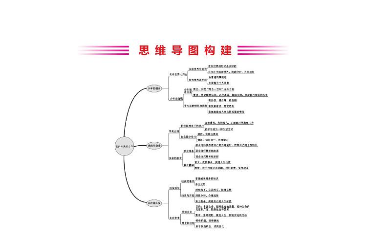 2021-2022学年部编版道德与法制中考复习之九年级下册 第三单元走向未来的少年课件PPT第2页