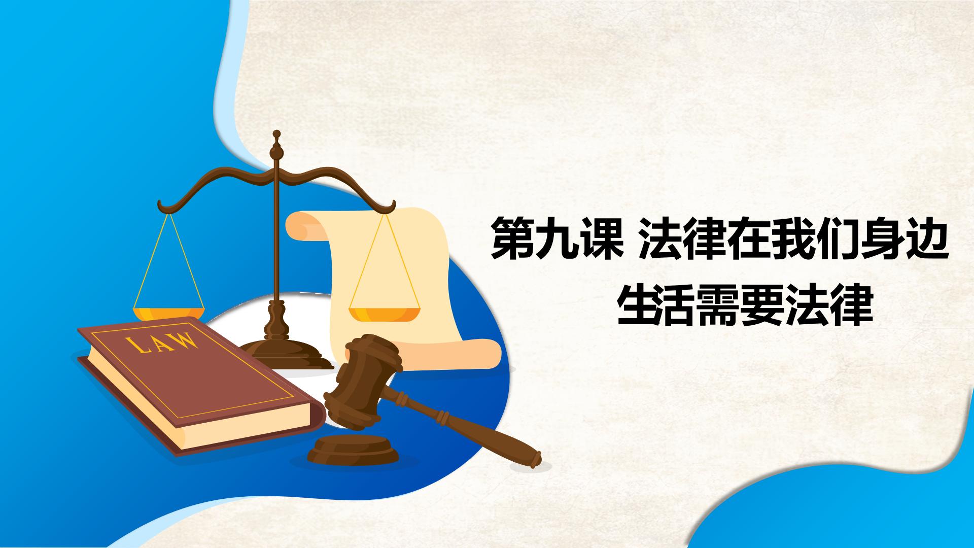 思品人教部编版七年级下册(道德与法治)第四单元 走进法治天地第九课