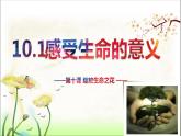 2021-2022七年级上册道德与法治10.1生命的意义课件