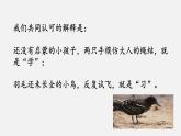 人教部编版政治七年级上册2.1学习伴成长课件