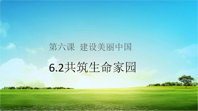 人教部编版九年级上册道德与法治6.2共筑生命家园课件01