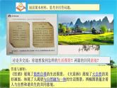 人教部编版九年级上册道德与法治6.2共筑生命家园课件