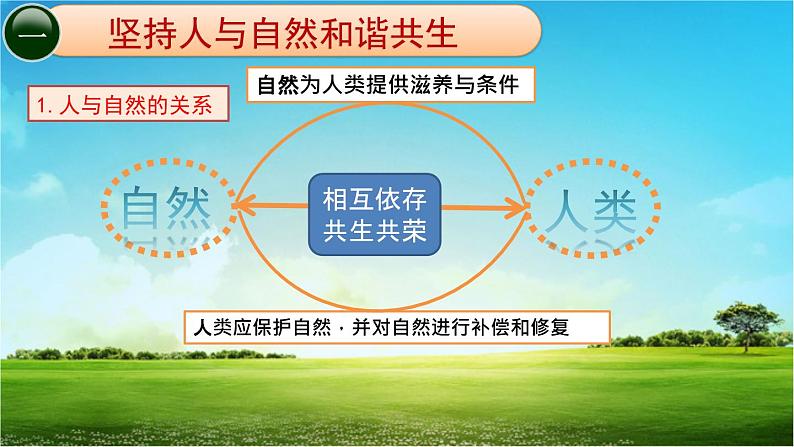 人教部编版九年级上册道德与法治6.2共筑生命家园课件04