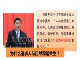 人教部编版九年级上册道德与法治6.2共筑生命家园课件