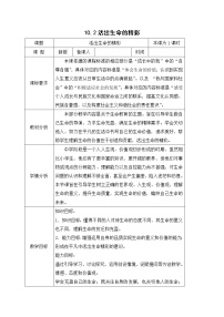 初中政治思品人教部编版七年级上册（道德与法治）活出生命的精彩教学设计