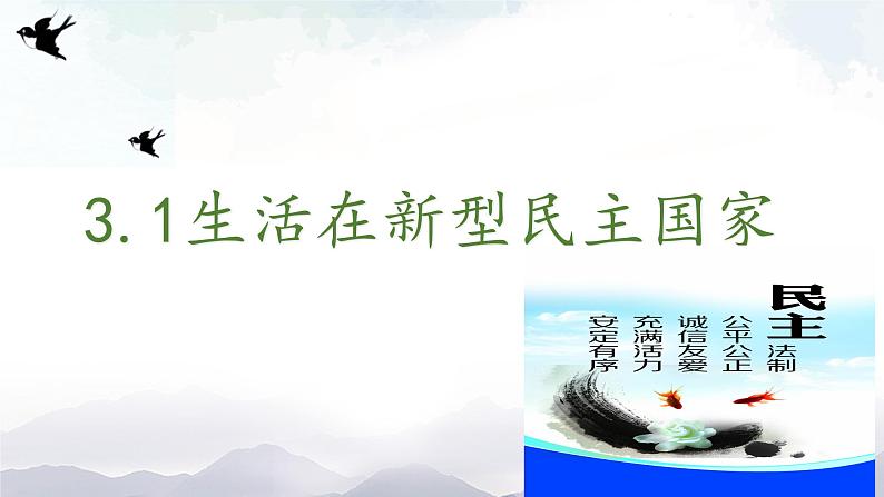 人教部编版道德与法治九年级上册2.3.1《生活在新型民主国家》课件+素材02