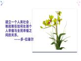 1.2 在社会中成长-部编版道德与法治八年级上册 课件(共20张PPT)