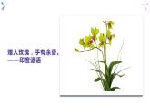 7.1 关爱他人-部编版道德与法治八年级上册 课件（共19张PPT）
