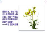 6.1 我对谁负责 谁对我负责-部编版道德与法治八年级上册 课件(共21张PPT)