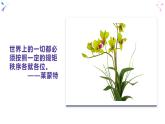 3.1 维护秩序-部编版道德与法治八年级上册 课件(共20张PPT)