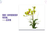 7.2服务社会-部编版道德与法治八年级上册 课件（共19张PPT）