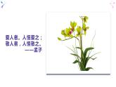 4.1 尊重他人-部编版道德与法治八年级上册 课件(共25张PPT)