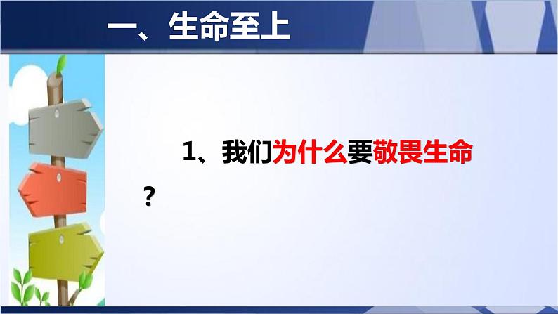 部编版《道德与法治》七年级上册：8.2 敬畏生命 课件(共31张PPT)第5页