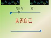 部编版《道德与法治》七年级上册：3.1 认识自己 课件(共22张PPT)