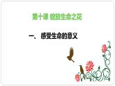 部编版《道德与法治》七年级上册：10.1 感受生命的意义 课件(共27张PPT)