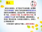 部编版《道德与法治》七年级上册：10.1 感受生命的意义 课件(共27张PPT)