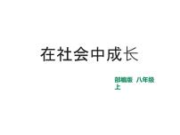 人教部编版八年级上册（道德与法治）在社会中成长评课课件ppt